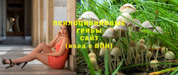 таблы Богданович