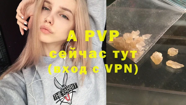 таблы Богданович