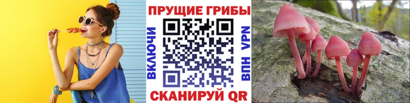 Галлюциногенные грибы мицелий  Купить закладки  Любим 